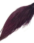 Metz Premium Neck Hackle