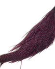 Metz Premium Neck Hackle