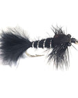 Black Damsel Fly Australia