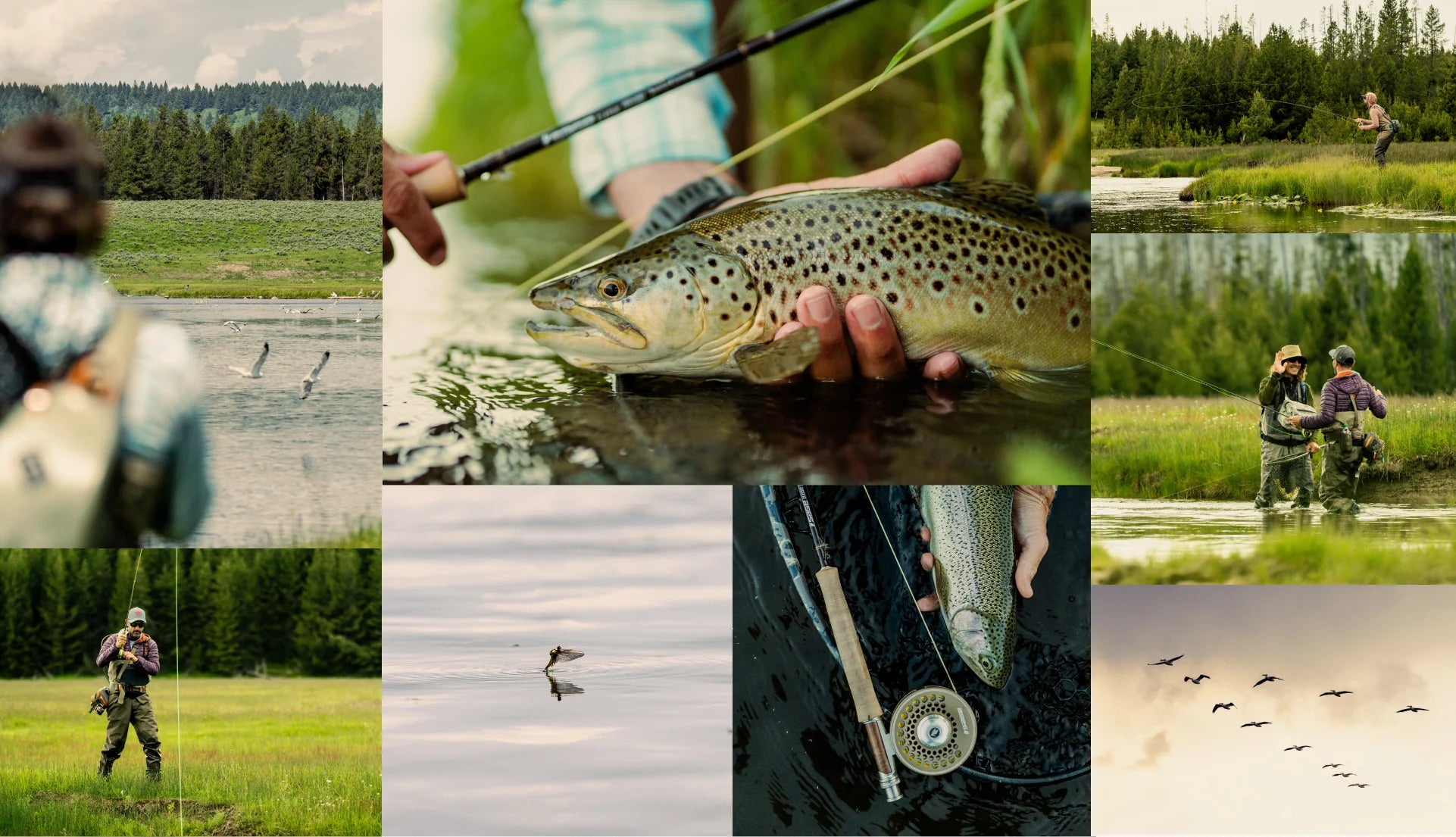 Sage R8 Classic Fly Rod, Fly Fishing Australia, New Zealand