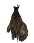 Ewing Hen Cape Australia nz
