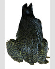 Ewing Hen Cape Grizzly Olive australia nz