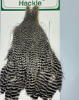 Ewing Hackles Hen Cape Grizzle - Flyfishing Australia, New Zealand