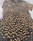 Indian Jungle Cock Cape