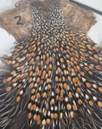 Indian Jungle Cock Cape
