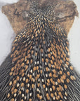 Indian Jungle Cock Cape