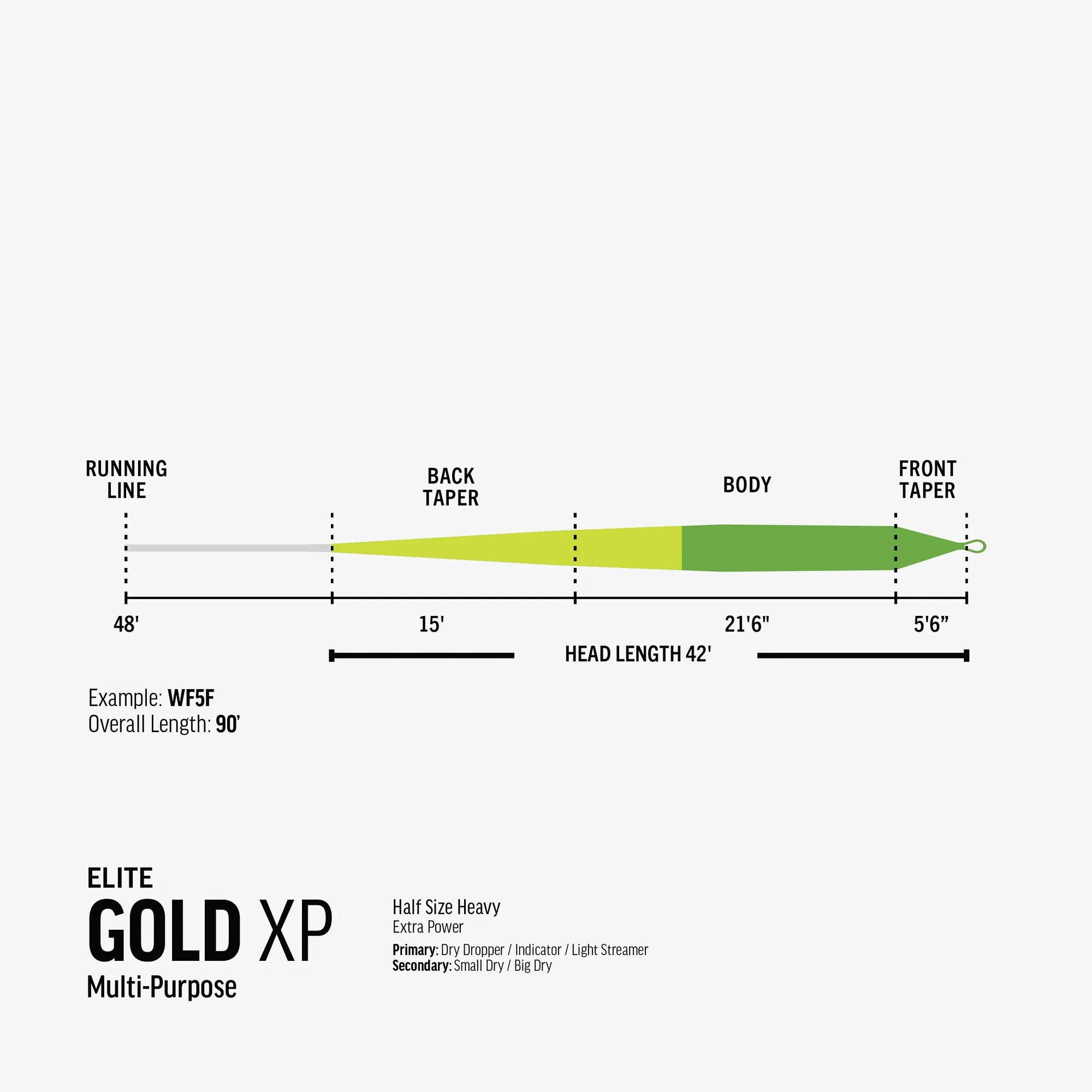Rio Gold XP (Extra Power) Fly Line, Fly Fishing Australia, New Zealand.