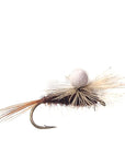 Parachute Suspender Nymph Brown Australia