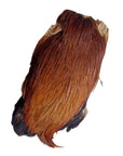 Indian Cock Cape - Veniard Ginger Australia NZ