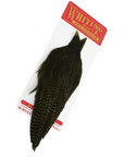 Whiting Hen Hackle Cape Grizzly Dyed Dark Olive Australia NZ