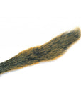 Fox Squirrel Australia NZ