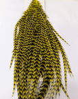 Ewing Hackle Wooly Bugger Pack