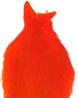 Whiting American Hen Cape Orange Australia