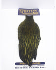 Whiting American Hen Cape