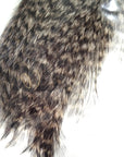 CDL half cape grizzly Australia NZ