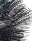 Coq-de-leon CDL Tailing Black Australia