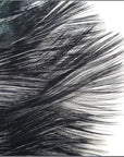 Coq-de-leon CDL Tailing Black Australia