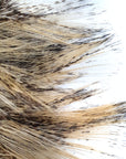 Coq-de-leon CDL Tailing Light Ginger Australia