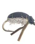 Corixa water boatman Tasmania fly
