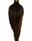 Whiting Hebert Miner Cape Pro Grade Dark Brown Dun, Australia, NZ