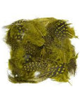 Guinea Body Feathers - Wapsi Australia