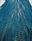 Whiting Half Rooster Saddle Grizzly Blue - Australia