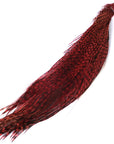 Hackle Varieties - Budget Capes and Hackles