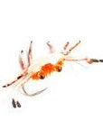 Flexo Crab - Fulling Mill