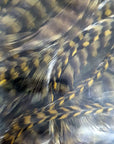 Keough hackles - capes and saddles