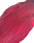 Claret Rooster neck cape Australia