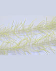 Lively Legs Crustacean Brush - H20 Australia