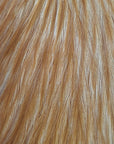 Whiting Half Rooster Cape Medium Ginger Australia