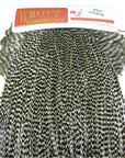 Whiting Pro Grade Hackle Saddle Australia