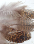 English Partridge Brown Back - Veniard