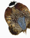 Ringneck Pheasant Skin - Wapsi Australia