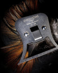 Swiss cdc multiclamp Australia