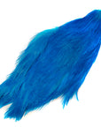 Chinese Cock Cape Doctor Blue Veniard Australia