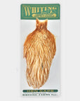 Whiting Hebert Miner Wet Fly Hen Cape