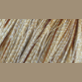 Whiting Bronze 1/2 Cape Hackle Barred Medium Ginger Australia