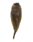 Hackle Varieties - Whiting, Fly Fishing Australia, New Zealand