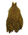 Whiting American Hen Cape