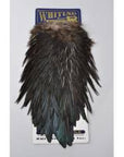 Whiting American Rooster Saddle Black Australia