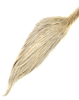 Half Rooster Cape