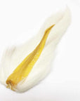 Bucktail Fl White Australia