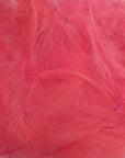 Marc Petitjean CDC Feathers 1 Gram Australia floro red