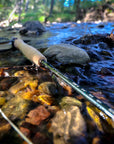 G.Loomis Loomis GLoomis Asquith World's best fly rod Australia New Zealand