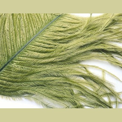 Ostrich Herl- Veniard - Main Image