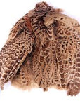 Ringneck Pheasant Skin