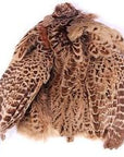 Ringneck Pheasant Skin