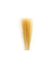 Tail Fibre Fibbets - Veniard